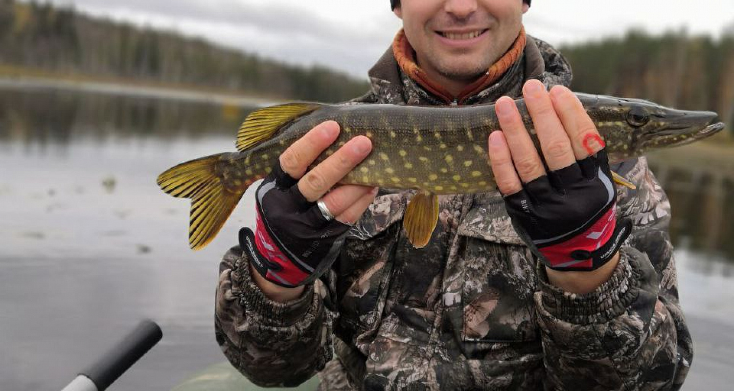 �� �������� �������� ���� ���������� ����� �� �����������